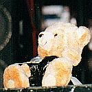 Borg Bear